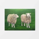 Original Sheep in a Field on Canvas Panel Art Oil Painting