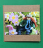 Primroses Photography Card, Nature Greeting Card