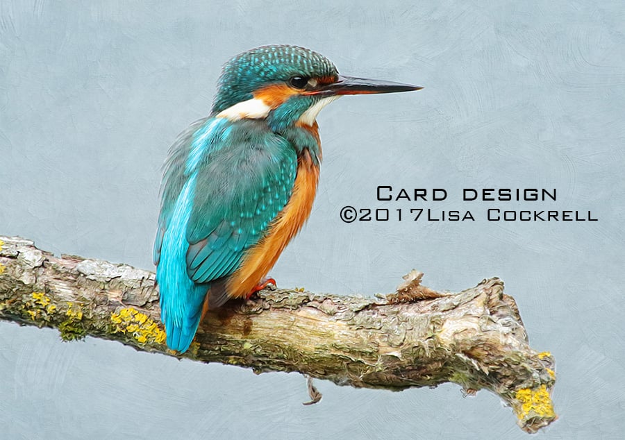 Exclusive Handmade Kingfisher Greetings Card