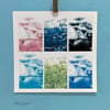 Hedge Parsley Composite Colour Photograph
