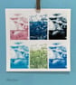 Hedge Parsley Composite Colour Photograph - Image 1