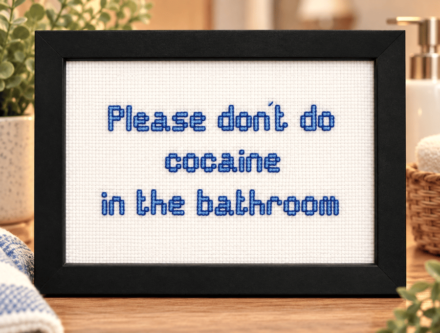 Image of Funny Handmade Framed Cross-Stitch – Please Don't Do Cocaine in the Bathroom 