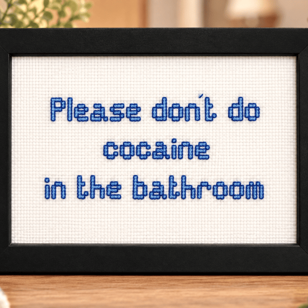 Funny Handmade Framed Cross-Stitch – Please Don't Do Cocaine in the Bathroom 