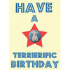 Have a Terrierific Birthday Card - Sealyham Terrier