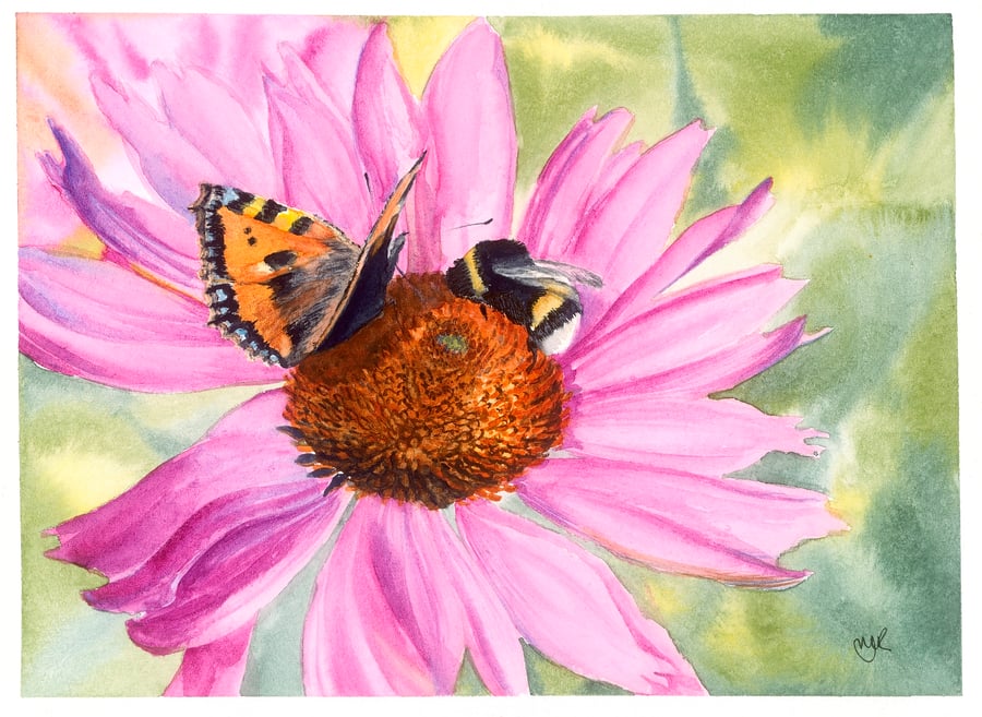 Echineacea, A3 giclée print