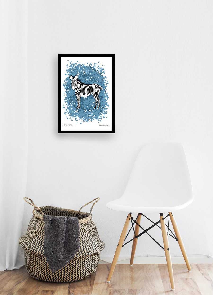 CLEARANCE - Grevy's Zebra - A5 Art Print
