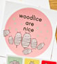 Woodlice Are Nice Sticker - Woodlouse - Isopods - Wildlife Lover Gift - Nature - Image 3