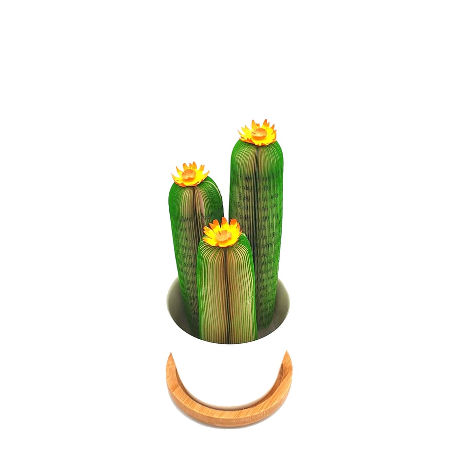 Cactus in a pot Book Gift