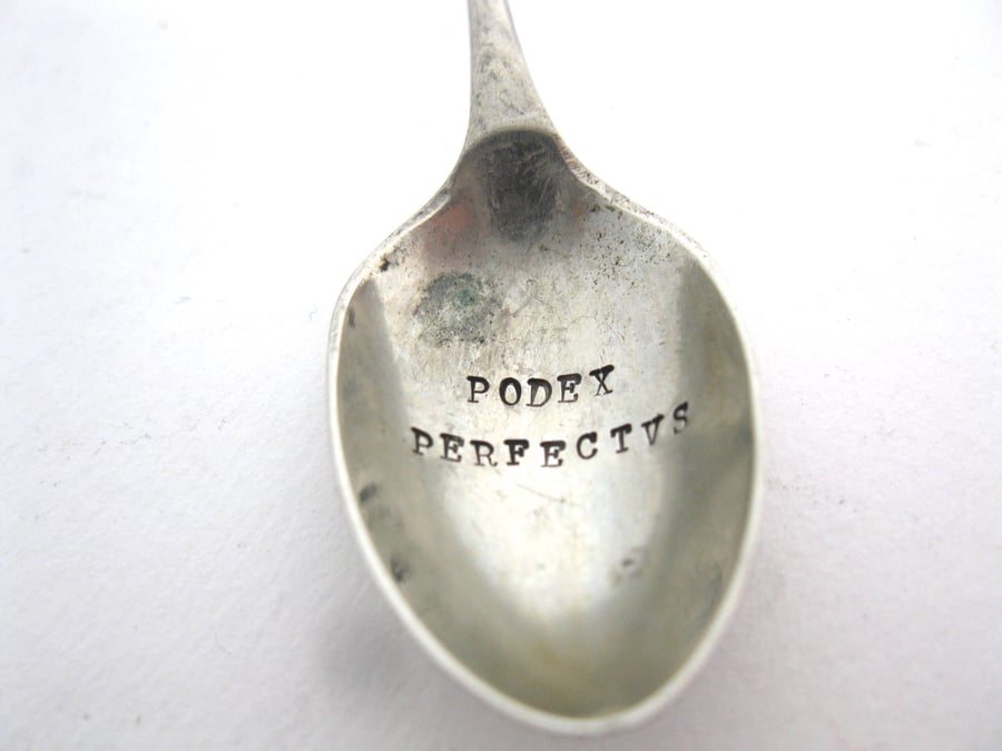 Sweary Rude Latin Insulting Spoon, Hand Stamped Vintage Apostle Coffeespoon