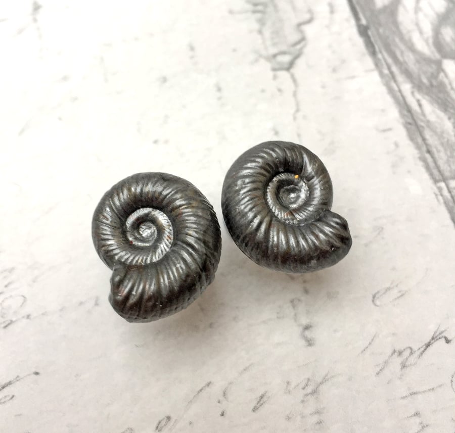 Ammonite stud earrings in pewter jewel enamel