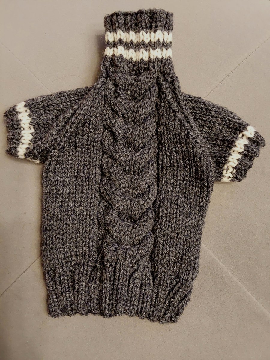 XSmall dog puppy sweater jumper coat 10”L 12”G hand knit (raglan sleeved)