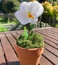Paper Pansy Pots - Image 5