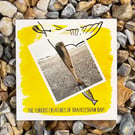 Diving Bird; greetings card, printed on card and photographic paper