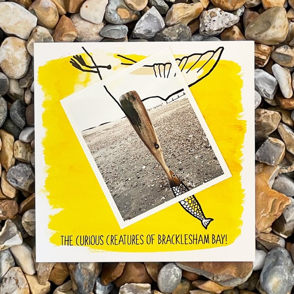 Diving Bird; greetings card, printed on card and photographic paper