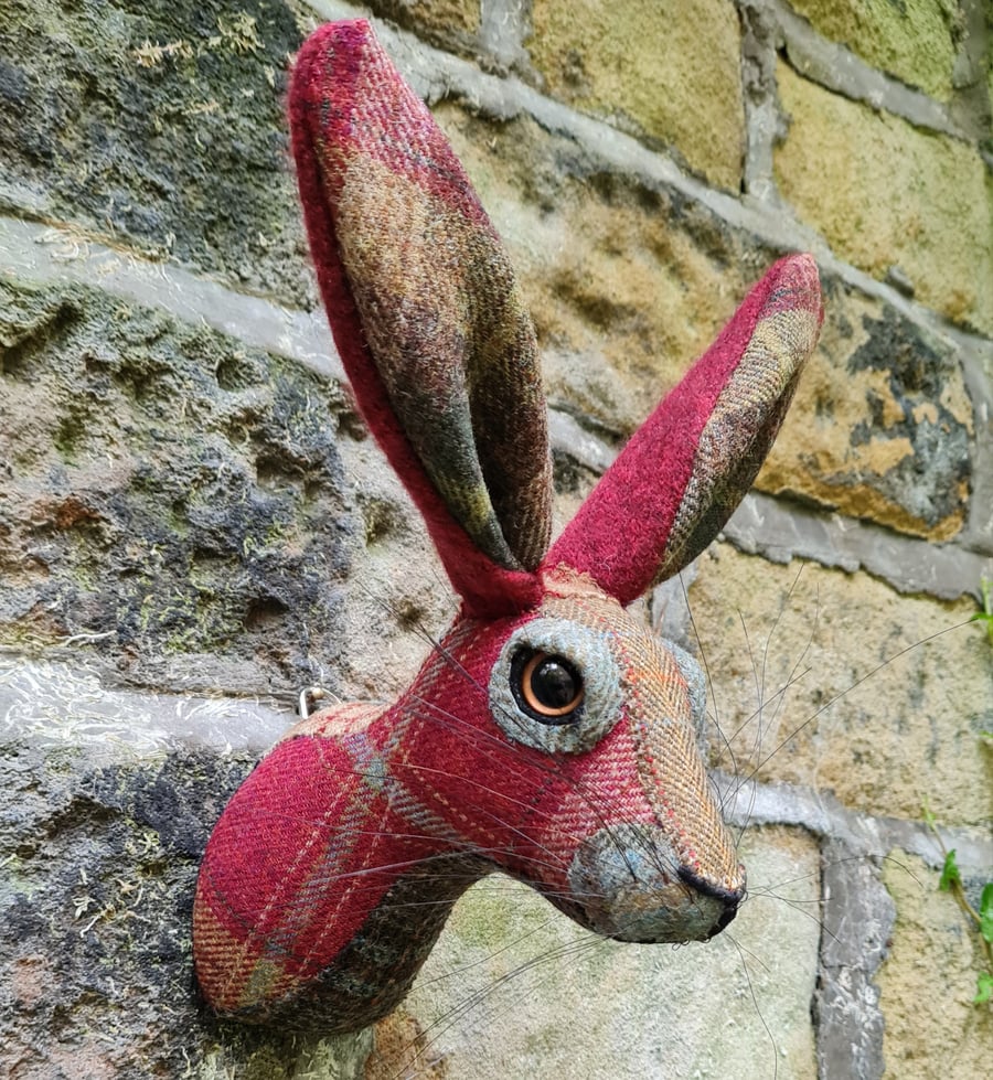 Faux hare head wall mount in maroon blue & green wool tartan- Mr Hegarty