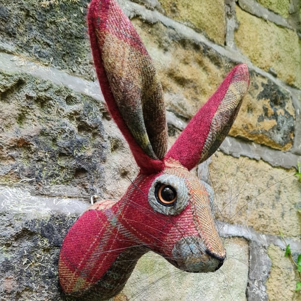 Faux hare head wall mount in maroon blue & green wool tartan- Mr Hegarty