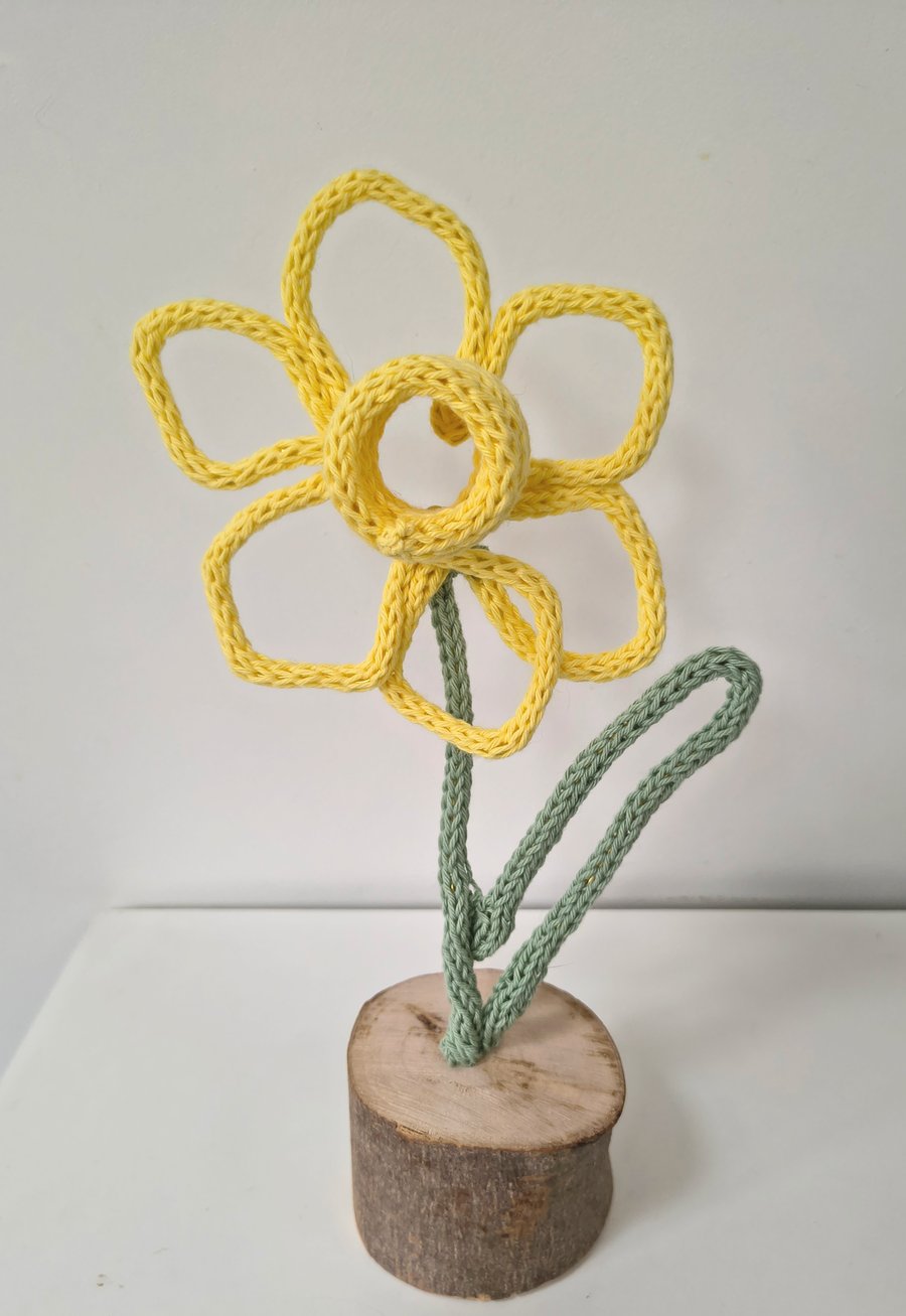 Knitted daffodil hooray for Spring!