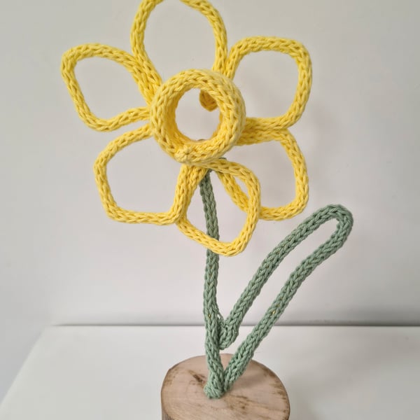 Knitted daffodil hooray for Spring!