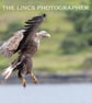 White Tailed Eagle in flight print (Limited edition of 10) - Image 1