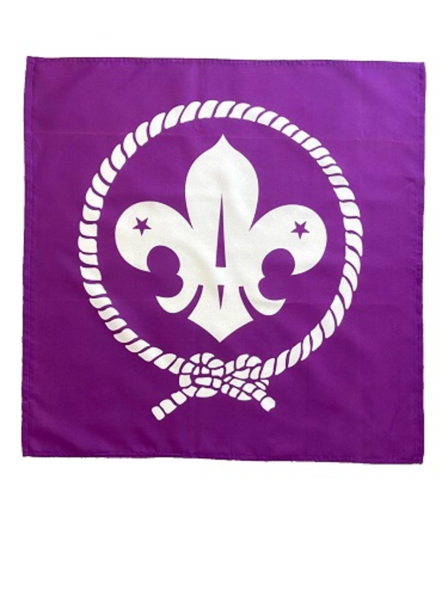 23" x 23" (59 x 59 cm) Scouts Scout Movement Purple Flag Bandana Head Neck Scarf
