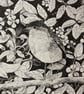 Robin.  Signed print. Bird. Gardens. Wildlife - Image 1
