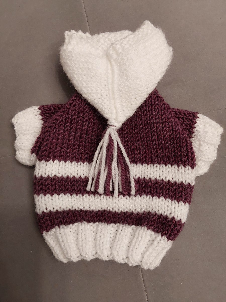 XXSmall dog puppy sweater jumper coat 7.5”L 10”G hand knit (raglan sleeved)