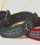 Tartan Adjustable Dog Collar with Fleece Lining - Flower of Scotland Design 