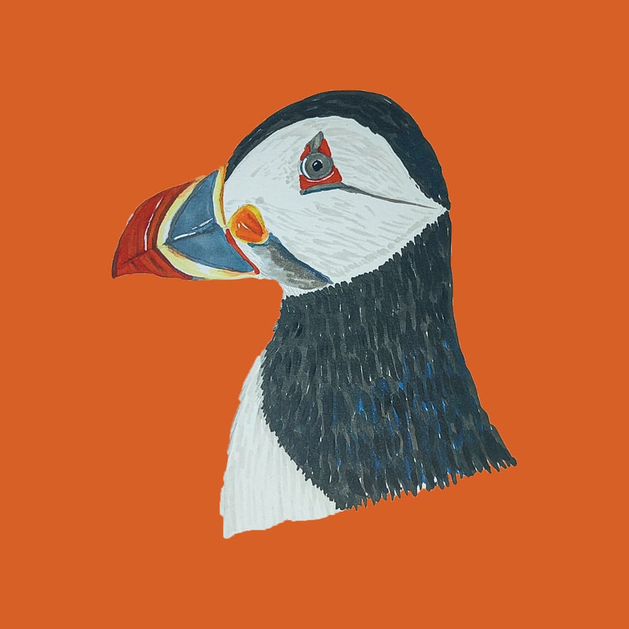 Puffin Art Print
