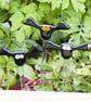 Halloween Pot Bat in Fused Glass - 6134 - Image 3