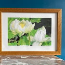 'Lotus Flower' framed Limited Edition giclée print