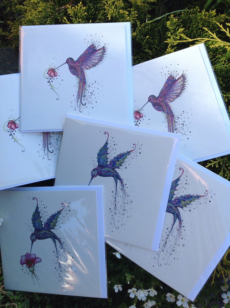 Offer  pack of 6 Humming Bird blank inside greeting cards