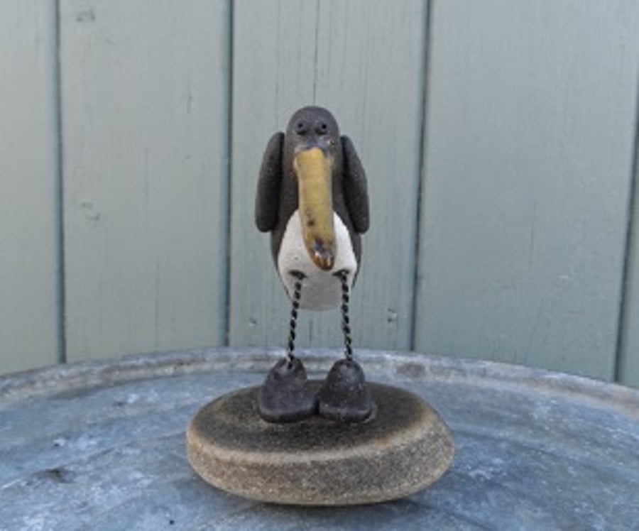 Oystercatcher on a river pebble