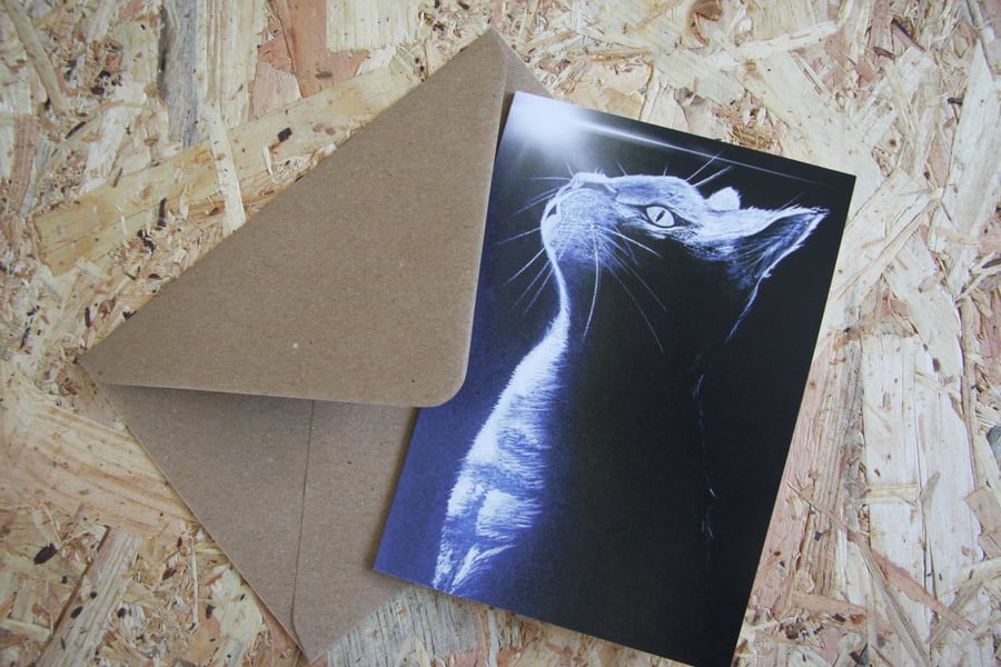 Illustrated Cat - 'Luna' -  Blank A6 Greeting Card