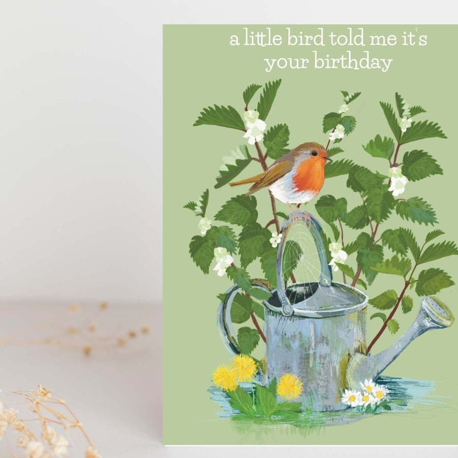 Birthday card garden and robin  illustration 