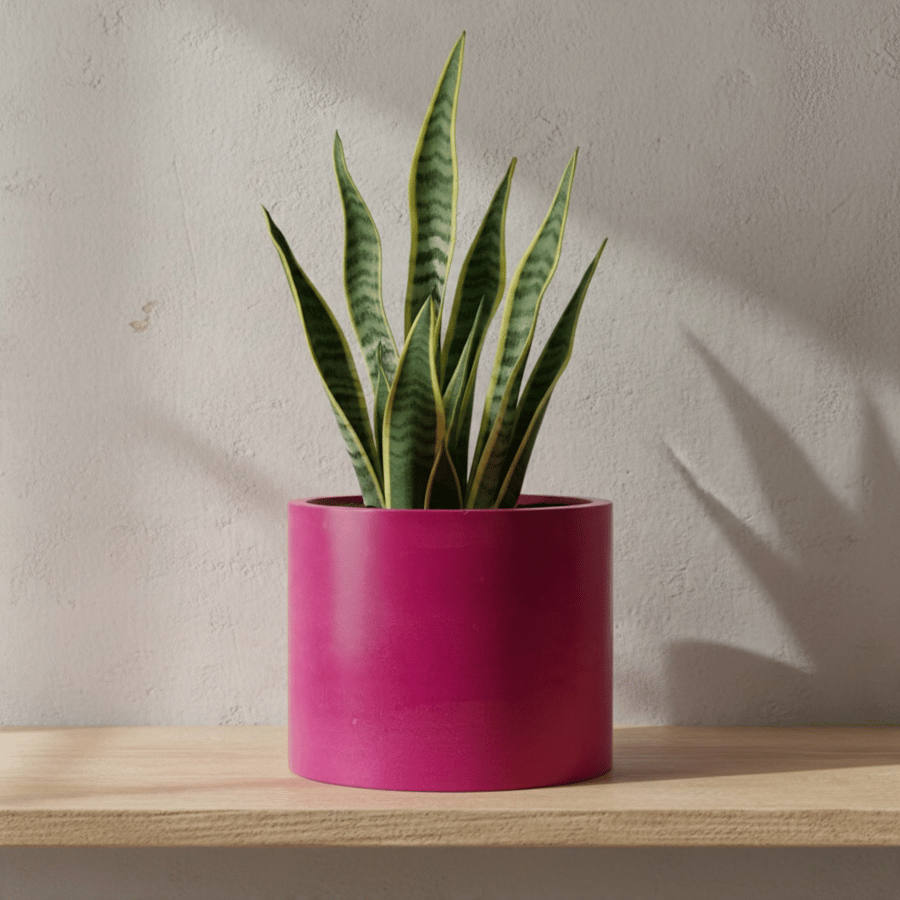 Large 15 cm Handmade Magenta Pink Plant Pot for Indoor Houseplants