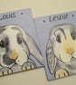Personalised Pet Sign customised rabbits guinea pigs cats dogs sml top holes P - Image 4