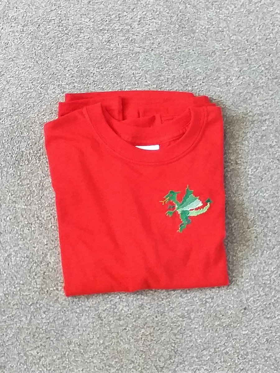 Dragon T-shirt age 8-10 (S youth)