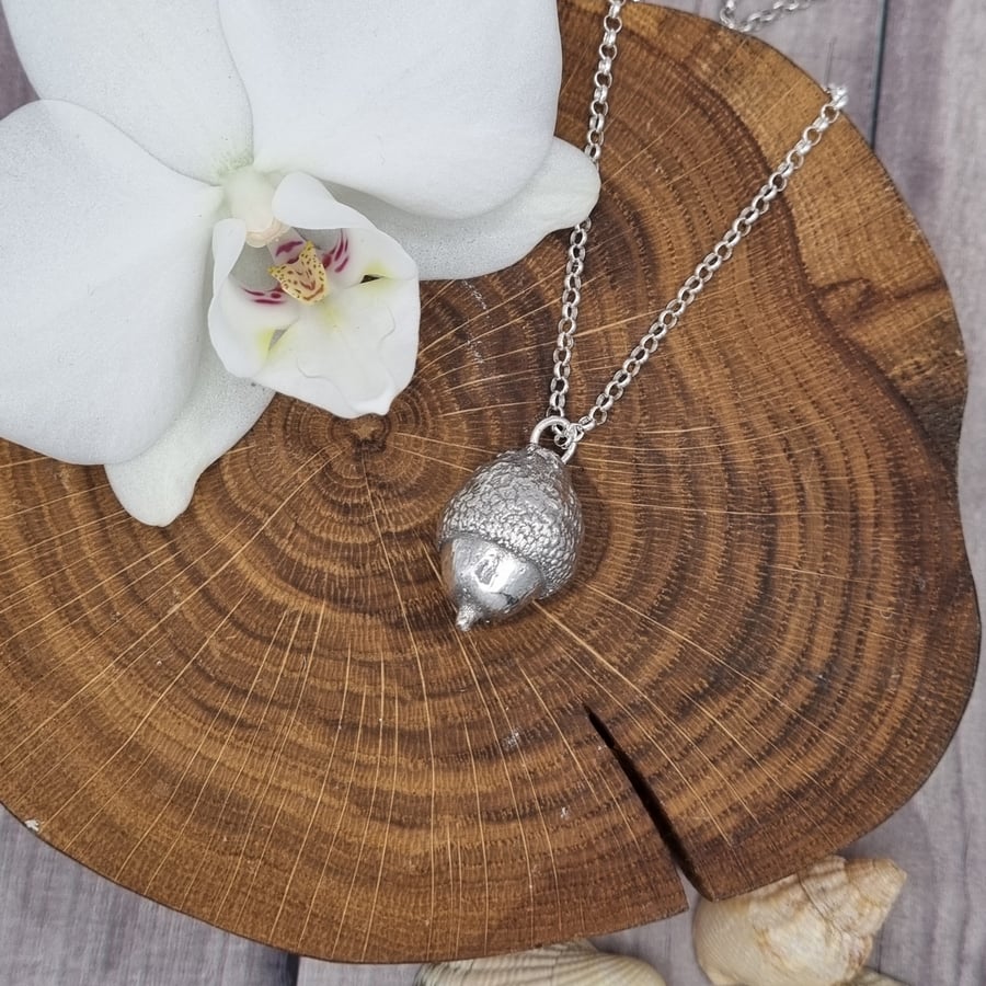 Real acorn preserved in silver, pendant necklace