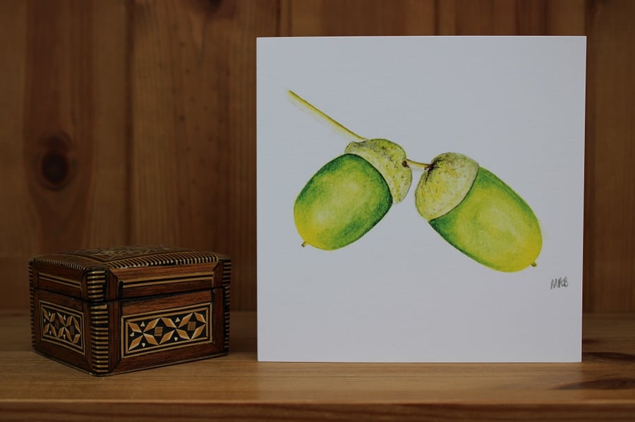 Acorns card 5 Pack Print from an original watercolour of Acorns by Yellow Bee