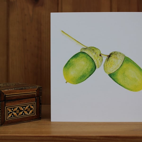 Acorns card 5 Pack Print from an original watercolour of Acorns by Yellow Bee