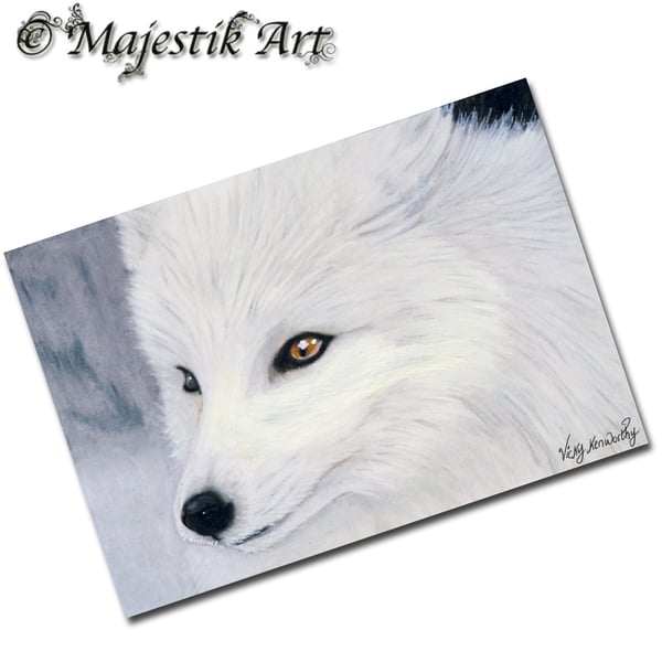 Archival ACEO Arctic Fox Print 'Arctic' By V Kenworthy