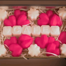 personalised Wax Melts  gift in box vegan  handmader upto 7 letters 