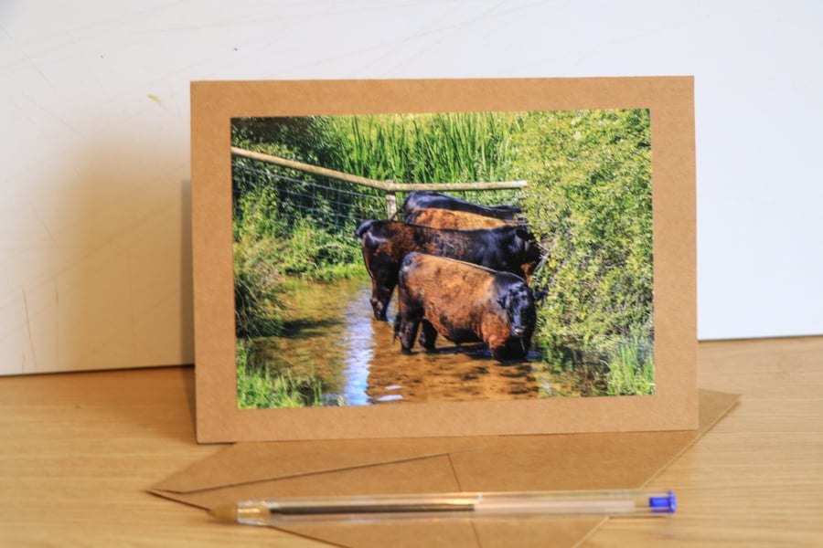 Norfolk Countryside Greetings Card –Photographic Rural Cards & Prints