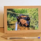 Norfolk Countryside Greetings Card –Photographic Rural Cards & Prints