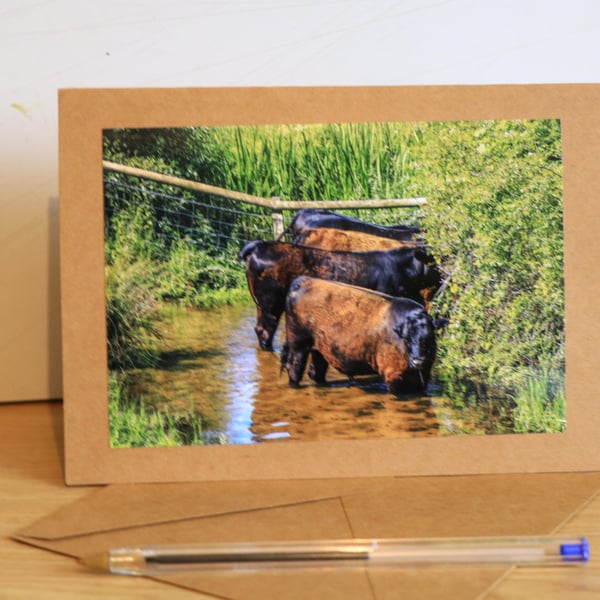 Norfolk Countryside Greetings Card –Photographic Rural Cards & Prints