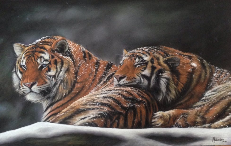 Anne Johnston Gill Fine Art