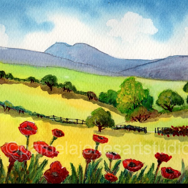 Original Watercolour, Poppies, In The Brecon Beacons, Wales, in 14 x 11 '' Mount