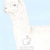 Patrick the Alpaca - Blank Card