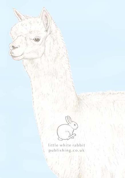 Patrick the Alpaca - Blank Card