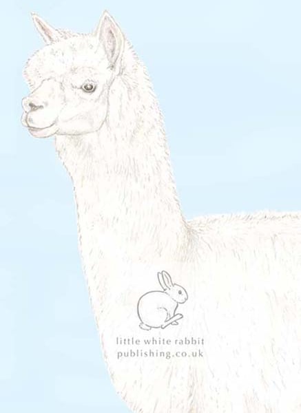 Patrick the Alpaca - Blank Card